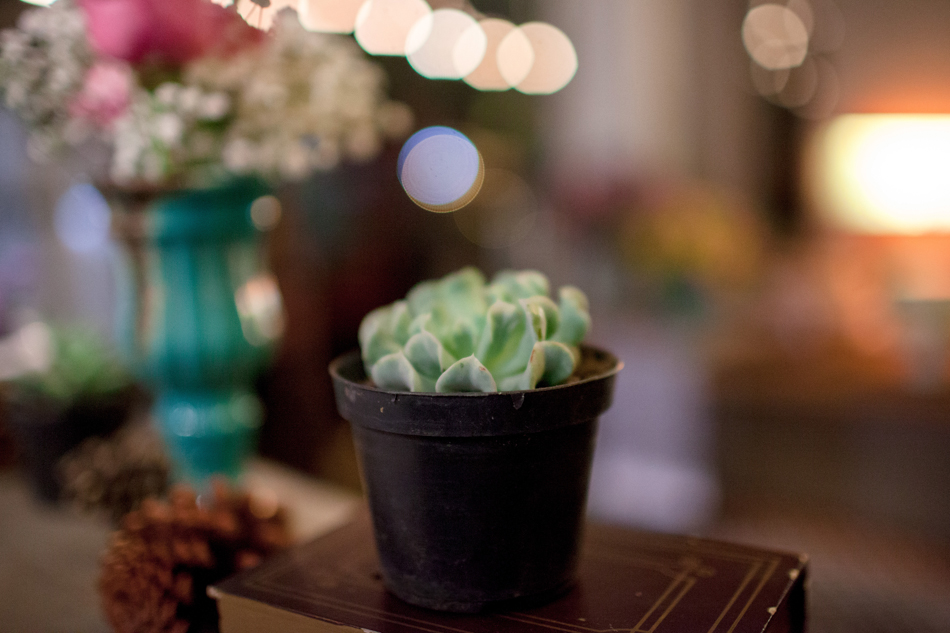 WelcomePartyBerries&Love_LiraFotografia-39